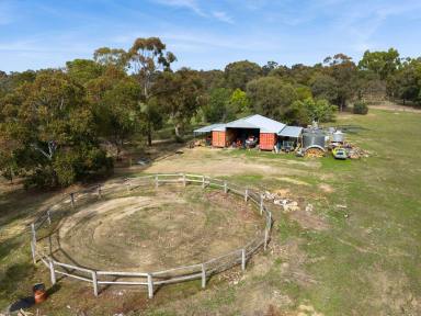 Farm For Sale - VIC - Myrtle Creek - 3551 - The Perfect Blend of Rustic Elegance, Self-Sufficiency and Modern Comfort  (Image 2)