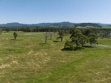 Farm For Sale - NSW - Berry - 2535 - Build your Countryside Retreat  (Image 2)