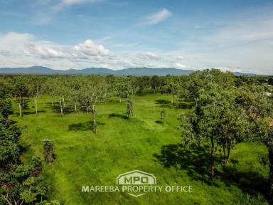 Farm For Sale - QLD - Mareeba - 4880 - INVEST... DEVELOP... OCCUPY  (Image 2)