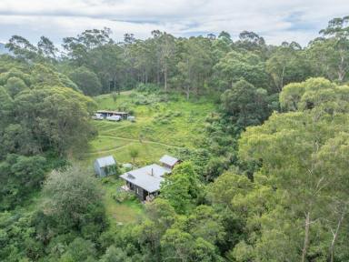 Farm For Sale - NSW - Brogo - 2550 - PRIVATE OFF-GRID LIVING  (Image 2)