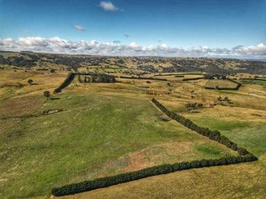 Farm Expressions of Interest - NSW - Bigga - 2583 - Premium Southern Tablelands Grazing Opportunity  (Image 2)