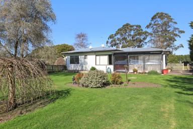 Farm Sold - VIC - Jancourt East - 3266 - Rolling Hills and Country Air  (Image 2)