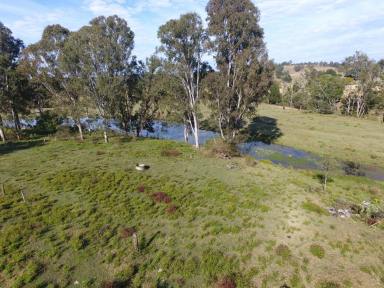 Farm For Sale - NSW - Casino - 2470 - 'WINSTON PARK' - 12 ACRES  (Image 2)