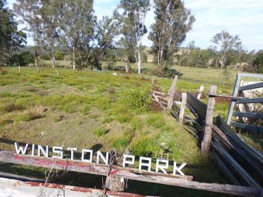 Farm For Sale - NSW - Casino - 2470 - 'WINSTON PARK' - 12 ACRES  (Image 2)