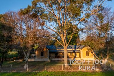 Farm For Sale - SA - Murbko - 5320 - River Murray Estate  (Image 2)