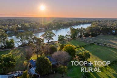 Farm For Sale - SA - Murbko - 5320 - River Murray Estate  (Image 2)