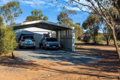 Farm For Sale - SA - Moorook - 5332 - AFFORDABLE ACREAGE WITH 4 BEDROOMS & SHEDDING  (Image 2)