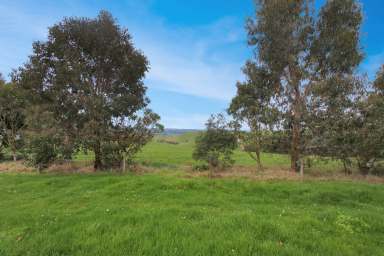 Farm For Sale - VIC - Nerrena - 3953 - INCREDIBLE OPPORTUNITY  (Image 2)