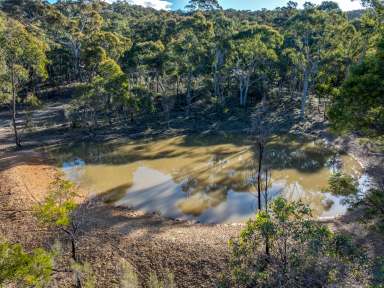 Farm For Sale - NSW - Goulburn - 2580 - Opportunity Awaits: 16.19 Ha of Prime Rural Land Near Goulburn  (Image 2)