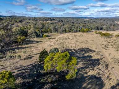 Farm For Sale - NSW - Goulburn - 2580 - Opportunity Awaits: 16.19 Ha of Prime Rural Land Near Goulburn  (Image 2)