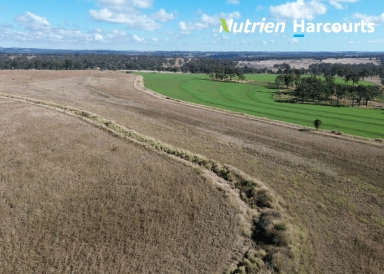 Farm For Sale - QLD - Haly Creek - 4610 - Endless Possibilities: 994 Acres Offered as One or Two Lots  (Image 2)