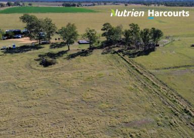 Farm For Sale - QLD - Haly Creek - 4610 - A Rare Gem with Endless Opportunities: Your Dream Farm Awaits  (Image 2)