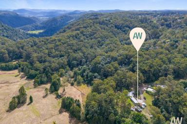 Farm For Sale - QLD - Montville - 4560 - Dual-Living The Dream! 2 Homes and Eco Cabin Resort Potential on Gorgeous Montville Acreage  (Image 2)