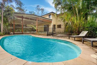 Farm For Sale - QLD - Highvale - 4520 - Ultimate Family Sanctuary on 1.5 Acres with Pool and Horse Paddock!  (Image 2)