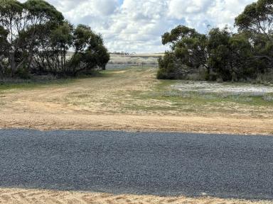 Farm Tender - VIC - Nhill - 3418 - LARGE SCALE GRAZING & POTENTIAL CROPPING LAND  (Image 2)