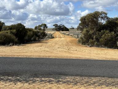 Farm Tender - VIC - Nhill - 3418 - LARGE SCALE GRAZING & POTENTIAL CROPPING LAND  (Image 2)