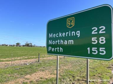 Farm Auction - WA - Cunderdin - 6407 - Fully improved, profitable production, broadacre country adjoining the Cunderdin townsite  (Image 2)