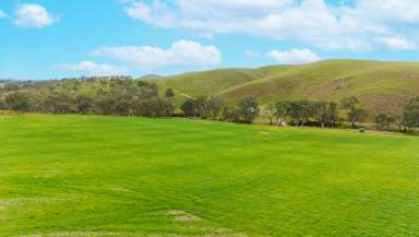 Farm For Sale - SA - Harrogate - 5244 - 'GlenBremer' - A dream farming lead on 631 practical & reliable acres.  (Image 2)