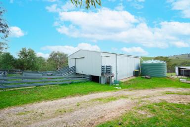 Farm For Sale - SA - Harrogate - 5244 - 'GlenBremer' - A dream farming lead on 631 practical & reliable acres.  (Image 2)