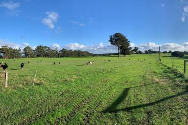 Farm Sold - WA - Boorara Brook - 6262 - 'Riverway Pastures' 54.28 Ha (134 Ac)*  (Image 2)