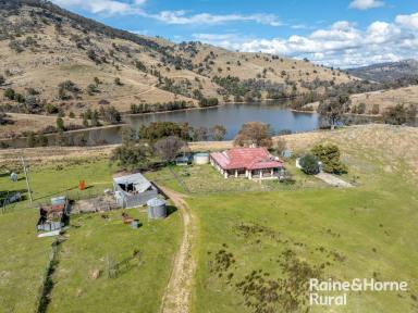 Farm Auction - NSW - Bigga - 2583 - "Glen Oak" Waterfront Property on Wyangla Dam  (Image 2)