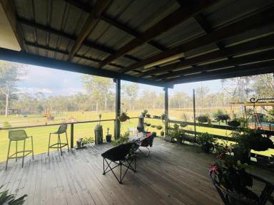 Farm For Sale - QLD - Isis River - 4660 - QUIET RURAL LIVING AT ITS FINEST "Fernhill No.1 Paddock"  (Image 2)