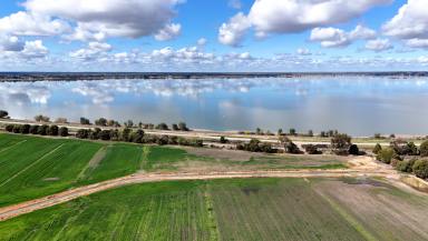 Farm For Sale - VIC - Lake Boga - 3584 - Unmatched Dual Opportunity: Lot A and Lot B at Lake Boga  (Image 2)