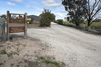 Farm For Sale - VIC - Lake Boga - 3584 - Unmatched Dual Opportunity: Lot A and Lot B at Lake Boga  (Image 2)