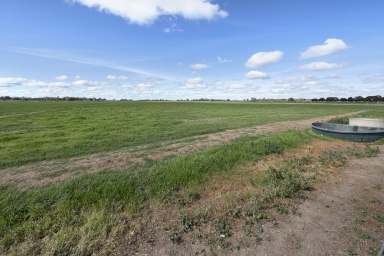 Farm For Sale - VIC - Lake Boga - 3584 - Lakeside Lifestyle Opportunity  (Image 2)