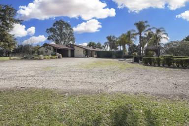 Farm For Sale - VIC - Swan Hill - 3585 - Serene country living  (Image 2)