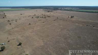 Farm For Sale - QLD - Jandowae - 4410 - EXCELLENT ADD ON OR ENTRY LEVEL GRAZING BLOCK  (Image 2)