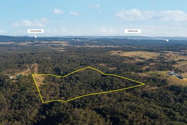 Farm For Sale - NSW - Marulan - 2579 - 40 acres of land  (Image 2)