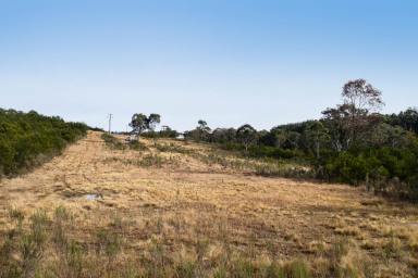 Farm For Sale - NSW - Marulan - 2579 - 40 acres of land  (Image 2)