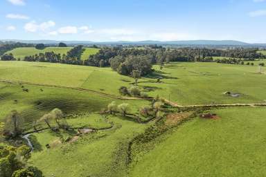 Farm For Sale - VIC - Ellinbank - 3821 - HIDDEN GEM IN ELLINBANK   - LOT 3 PETERS ROAD  (Image 2)