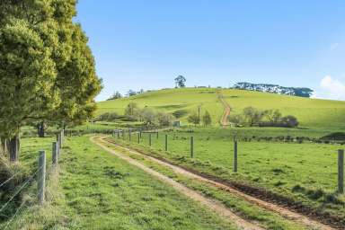 Farm For Sale - VIC - Ellinbank - 3821 - HIDDEN GEM IN ELLINBANK   - LOT 3 PETERS ROAD  (Image 2)