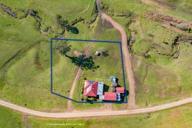 Farm For Sale - NSW - East Gresford - 2311 - The Country Dream  (Image 2)