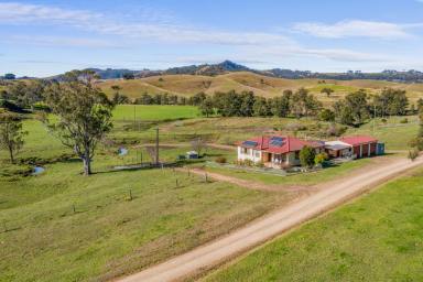 Farm For Sale - NSW - East Gresford - 2311 - The Country Dream  (Image 2)