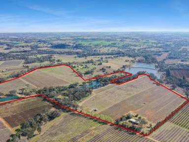 Farm For Sale - NSW - Young - 2594 - 90acs* On The Doorstep of Town With 3 Dwelling Entitlements + Vineyard  (Image 2)