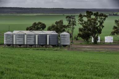 Farm For Sale - WA - Wongan Hills - 6603 - Grain Growing Powerhouse  (Image 2)