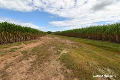 Farm For Sale - QLD - Bungadoo - 4671 - Acreage Land - Private Location  (Image 2)