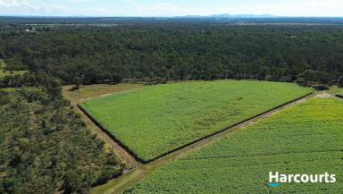 Farm For Sale - QLD - Bungadoo - 4671 - Acreage Land - Private Location  (Image 2)