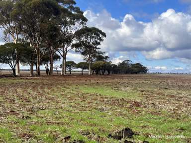 Farm For Sale - WA - Southern Cross - 6426 - Outstanding value, larger holding, quality open country  (Image 2)