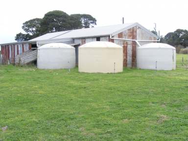 Farm For Sale - SA - Millicent - 5280 - Small holding on outskirts of Millicent  (Image 2)