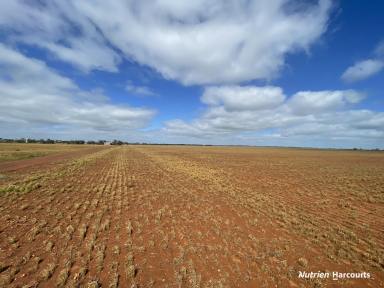 Farm For Sale - WA - Gutha - 6623 - Grandview', Gutha.  1318ha (810ha arable)  (Image 2)