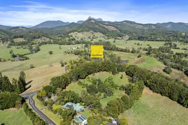 Farm For Sale - NSW - Nobbys Creek - 2484 - DISCOVER YOUR DREAM LIFESTYLE AT THIS STUNNING QUEENSLANDER RETREAT  (Image 2)