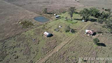 Farm For Sale - QLD - Jandowae - 4410 - "VIEWFIELD"  (Image 2)