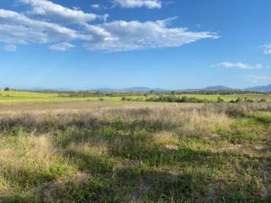 Farm For Sale - QLD - Yalboroo - 4741 - 231 ACRES - FARMING LAND  (Image 2)