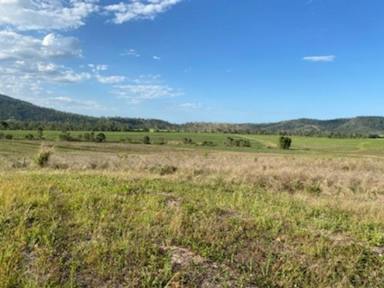 Farm For Sale - QLD - Yalboroo - 4741 - 231 ACRES - FARMING LAND  (Image 2)