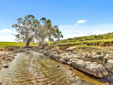 Farm For Sale - SA - Keyneton - 5353 - Large productive lifestyle property (38.5 Ha). Exceptional views, absolute peace and tranquility.  (Image 2)