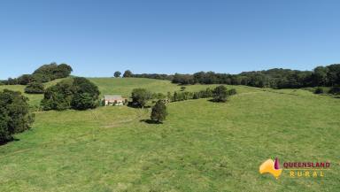 Farm For Sale - QLD - Butchers Creek - 4885 - Wild Haven  (Image 2)